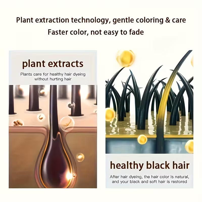 Instant Black Herbal Hair Dye Shampoo 3-in-1 (2 Pack)